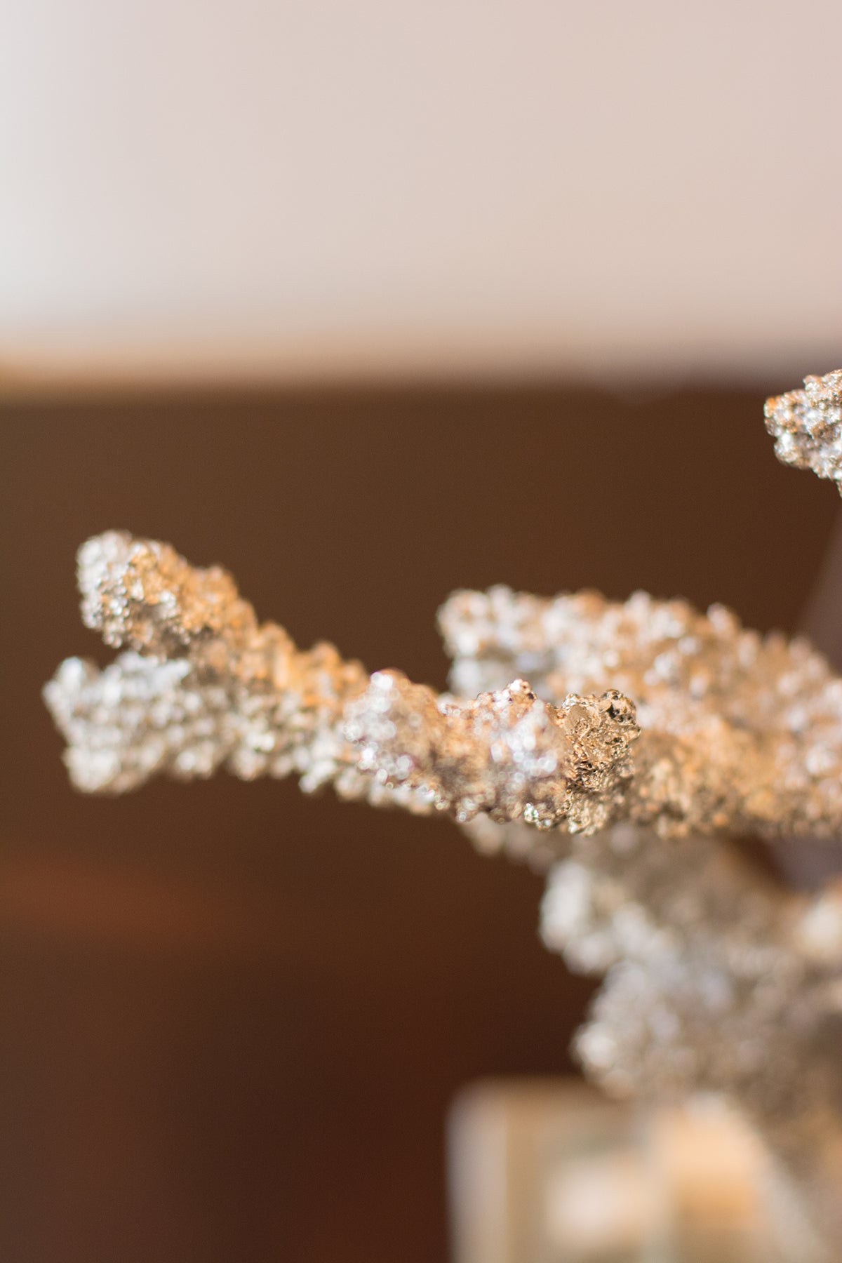 Silver Coral Table Lamp by Couture Lamps