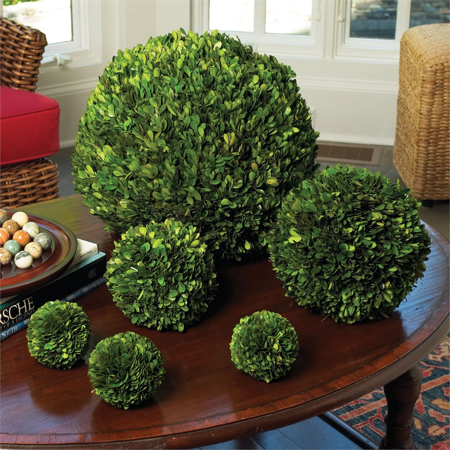 Boxwood Ball 16"