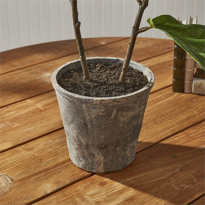 Fiddle Leaf Fig Potted 43"