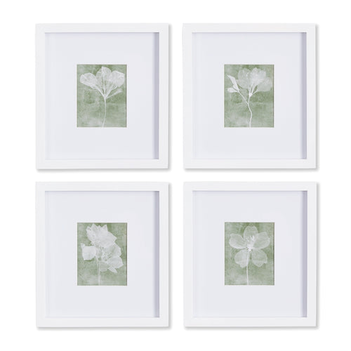 Translucent Floral Petite Prints St/4