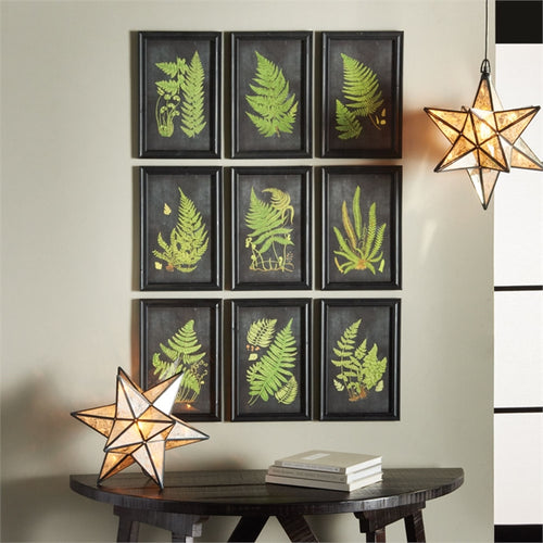 Framed Fern Botanical Prints, Set Of 9