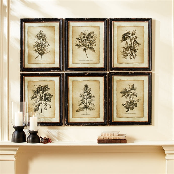 Framed Vintage Floral Prints, Set Of 6