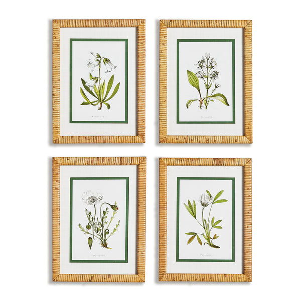 White Floral Study, Set Of 4