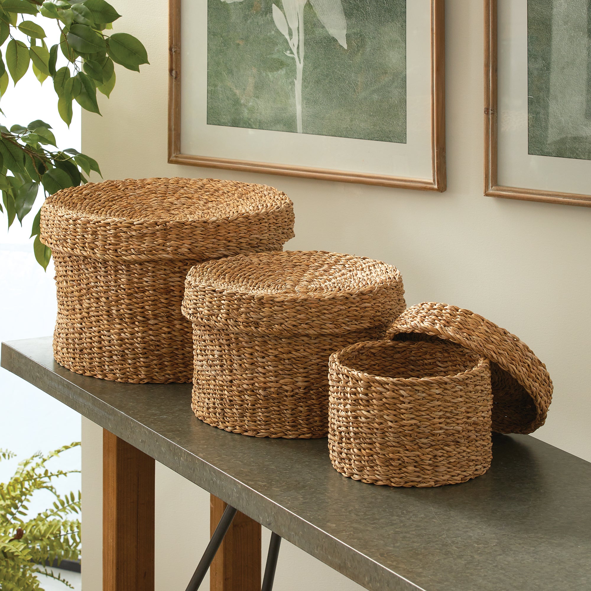 Seagrass Round Lidded Baskets, Set Of 3