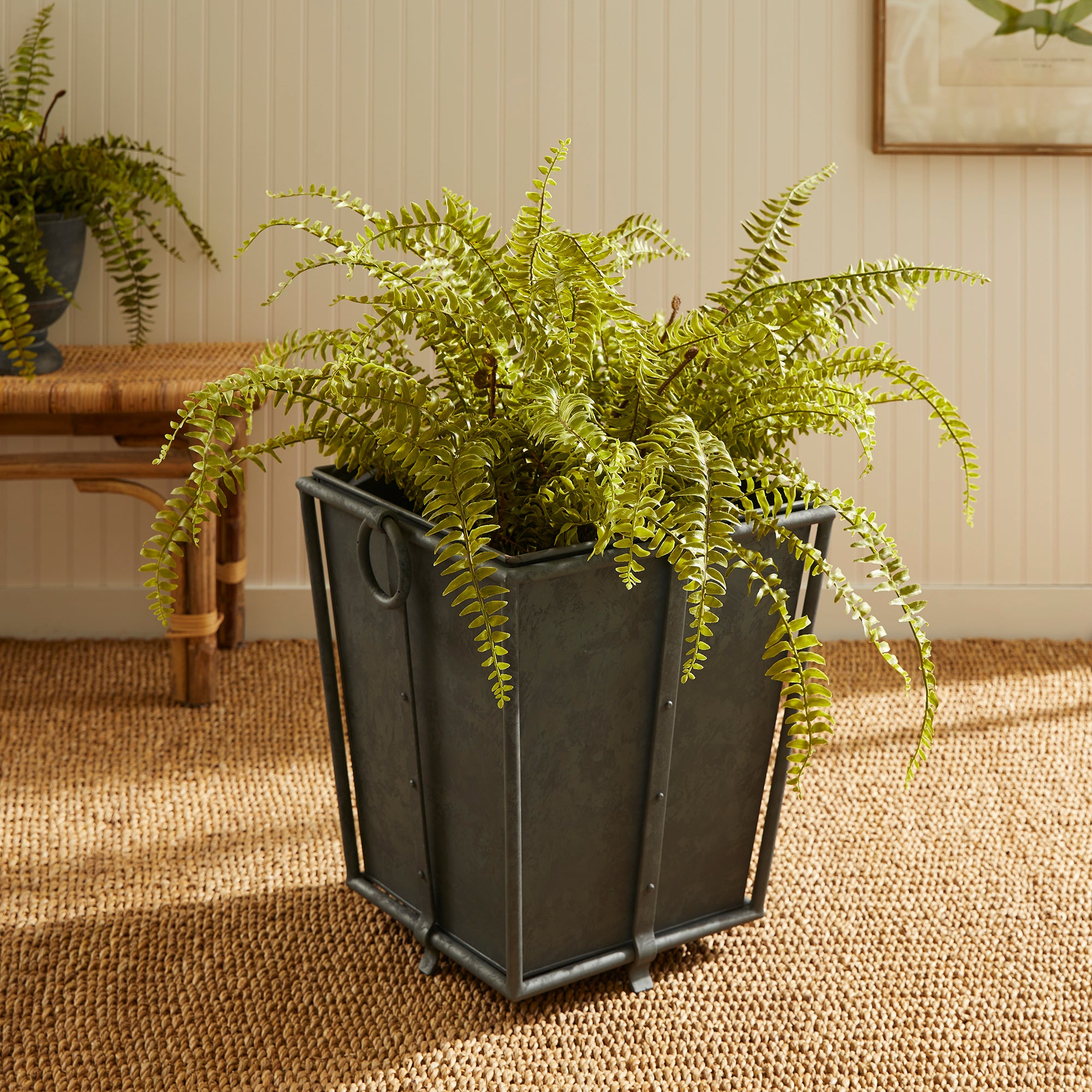 Callahan Tapered Planter Short