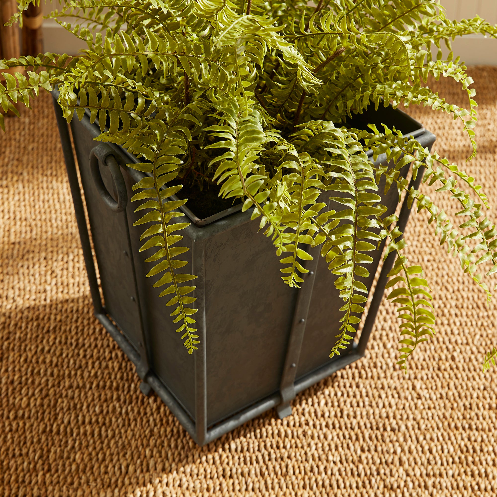 Callahan Tapered Planter Short