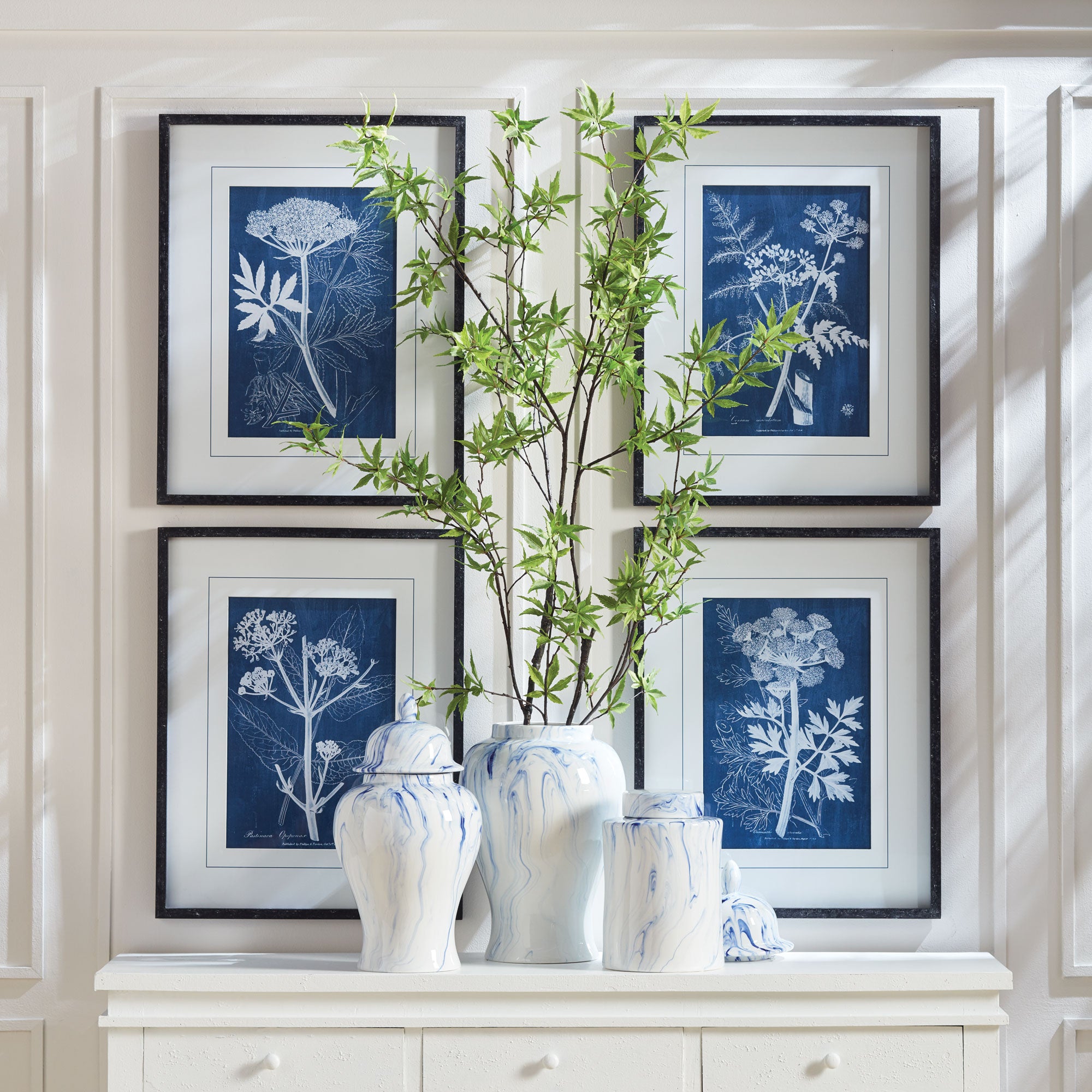 Cyanotype Queen Annes Lace Prints St/4