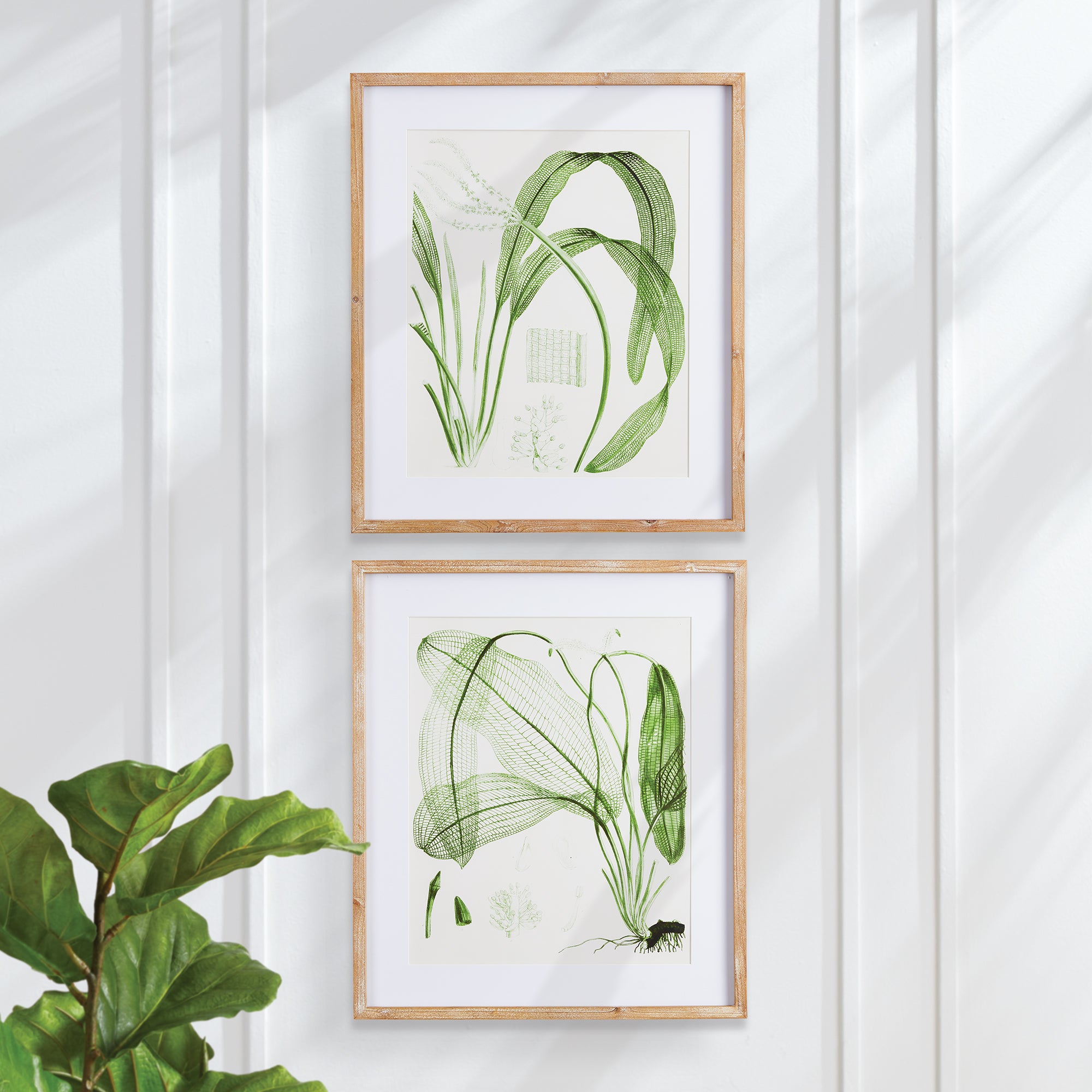 Aquatic Leaf Prints St/2