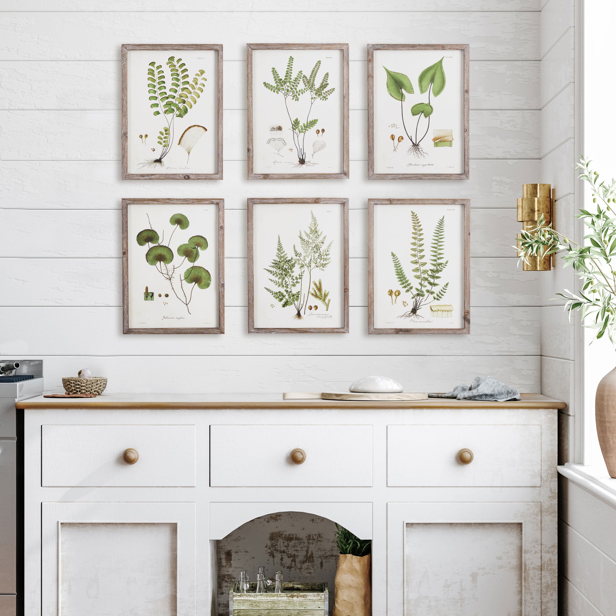 Shade Garden Study St/6