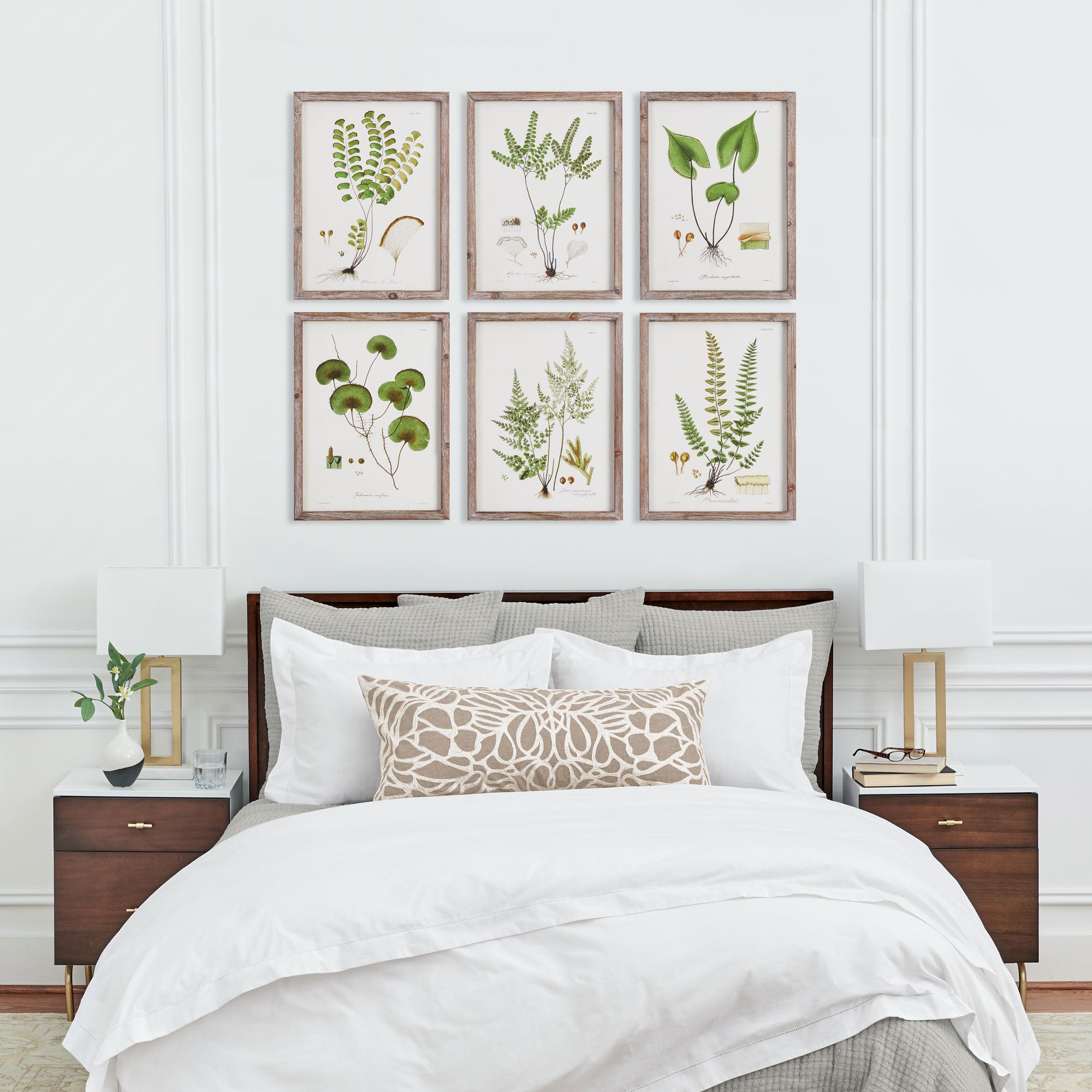 Shade Garden Study St/6