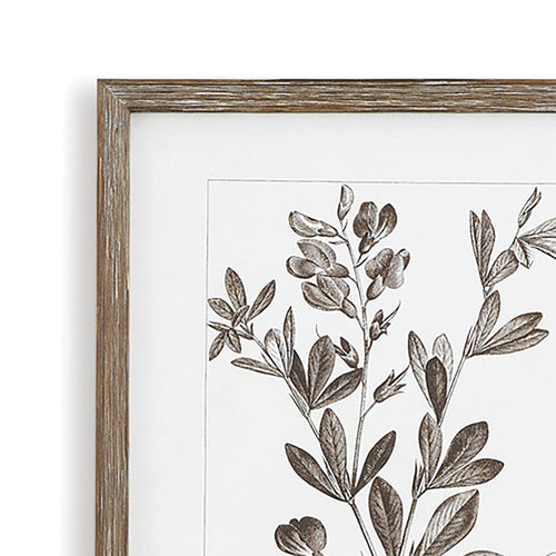 Rustic Foliage Study, Set Of 9