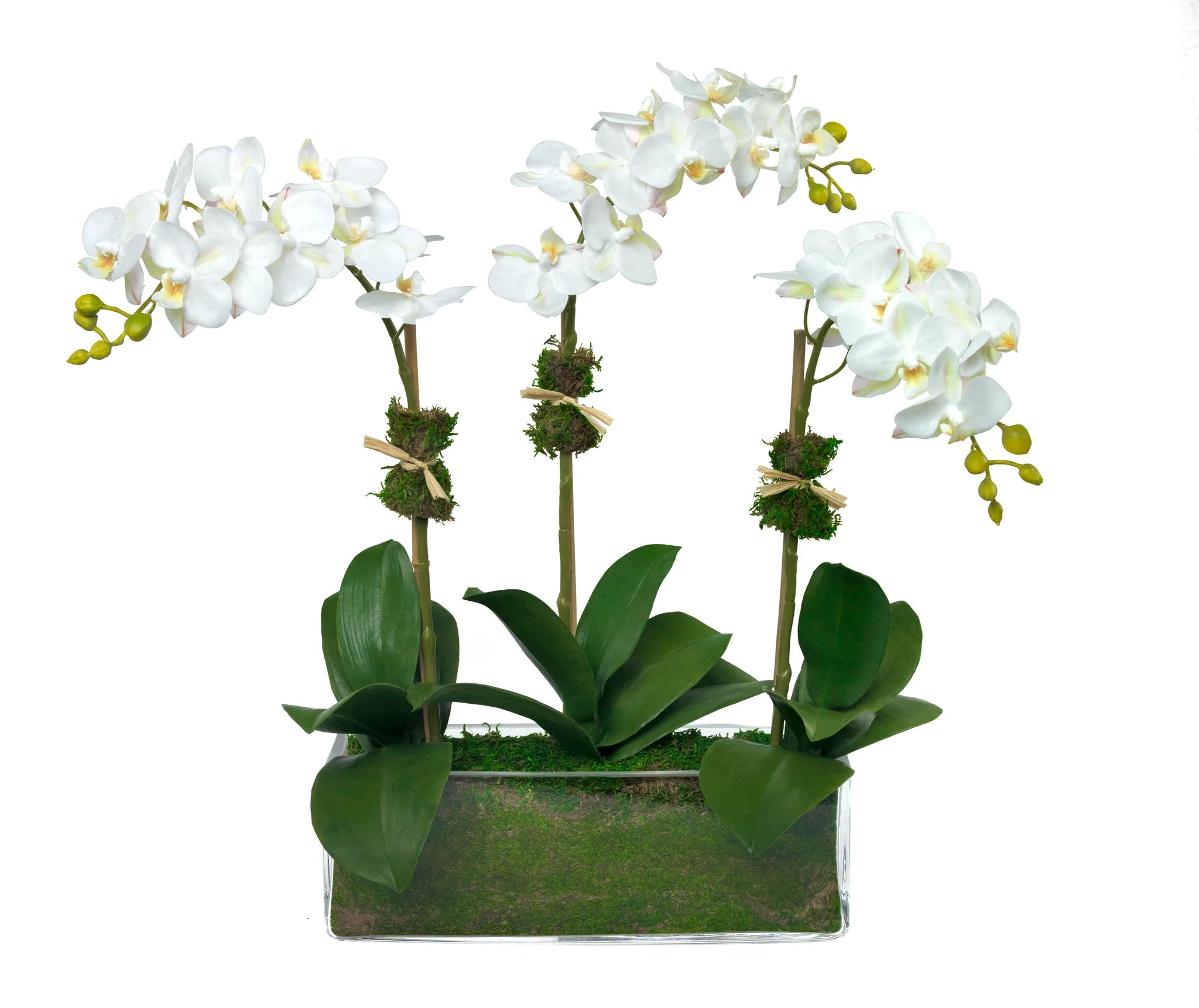 glass plant pots for orchids Diane James Home Phalaenopsis Faux Floral Orchids