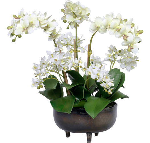 Diane James West Village Wow Orchid Bowl