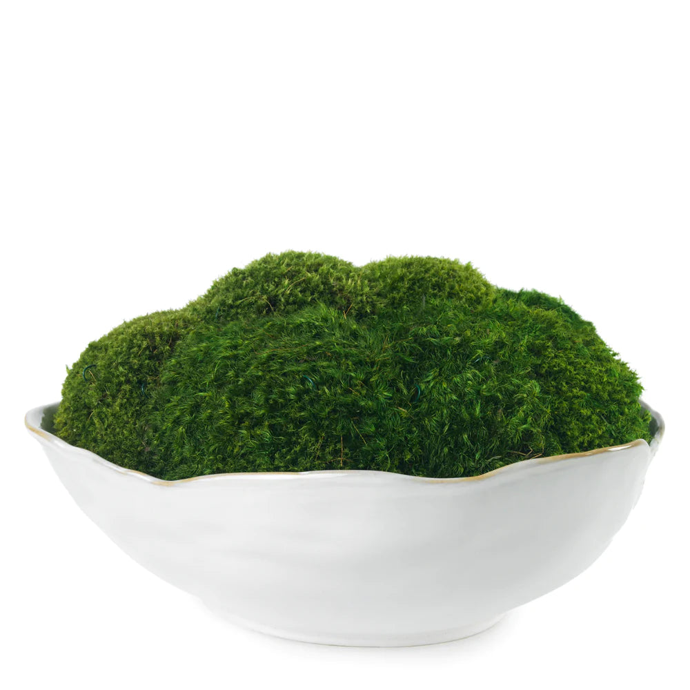 Preserved Moss in Ceramic Bowl