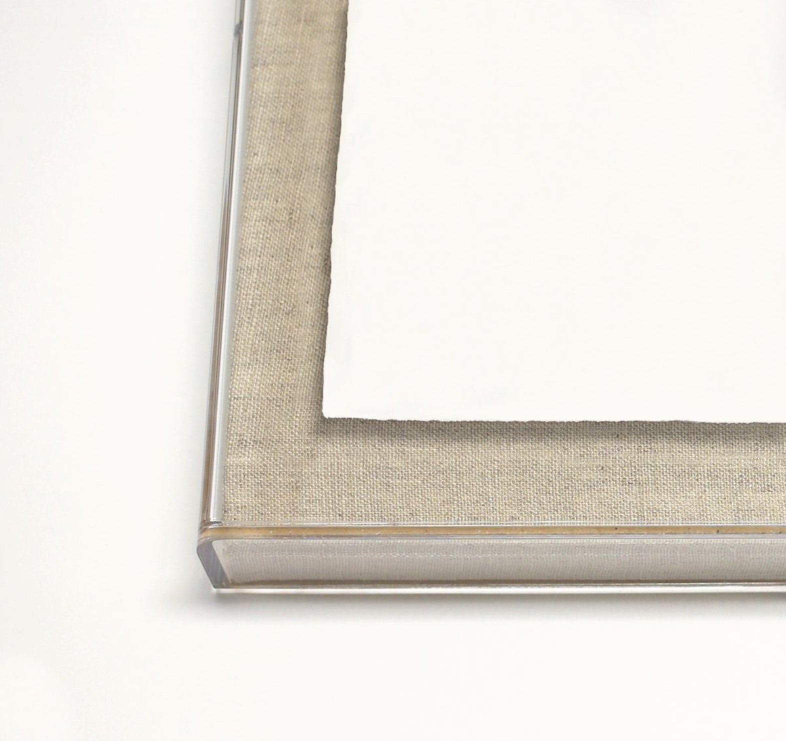 Natural Curiosities Gilded Lace Art in Silver