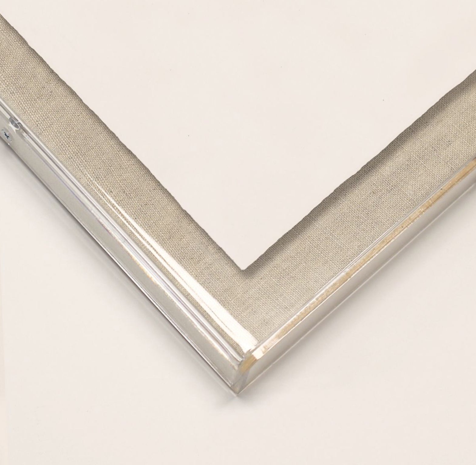 Natural Curiosities Gilded Lace Art in Silver