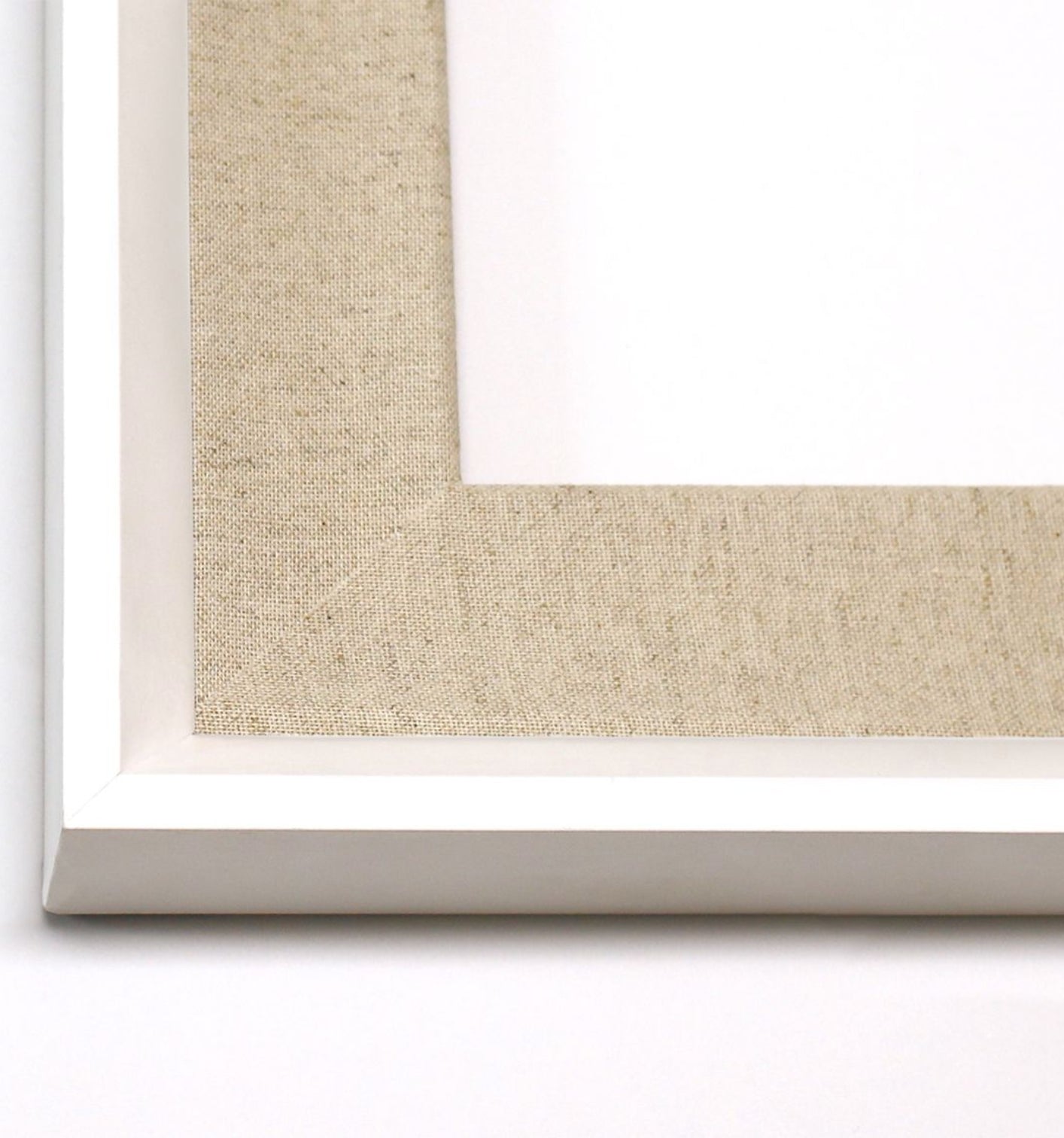 Natural Curiosities Gilded Lace Art in Silver