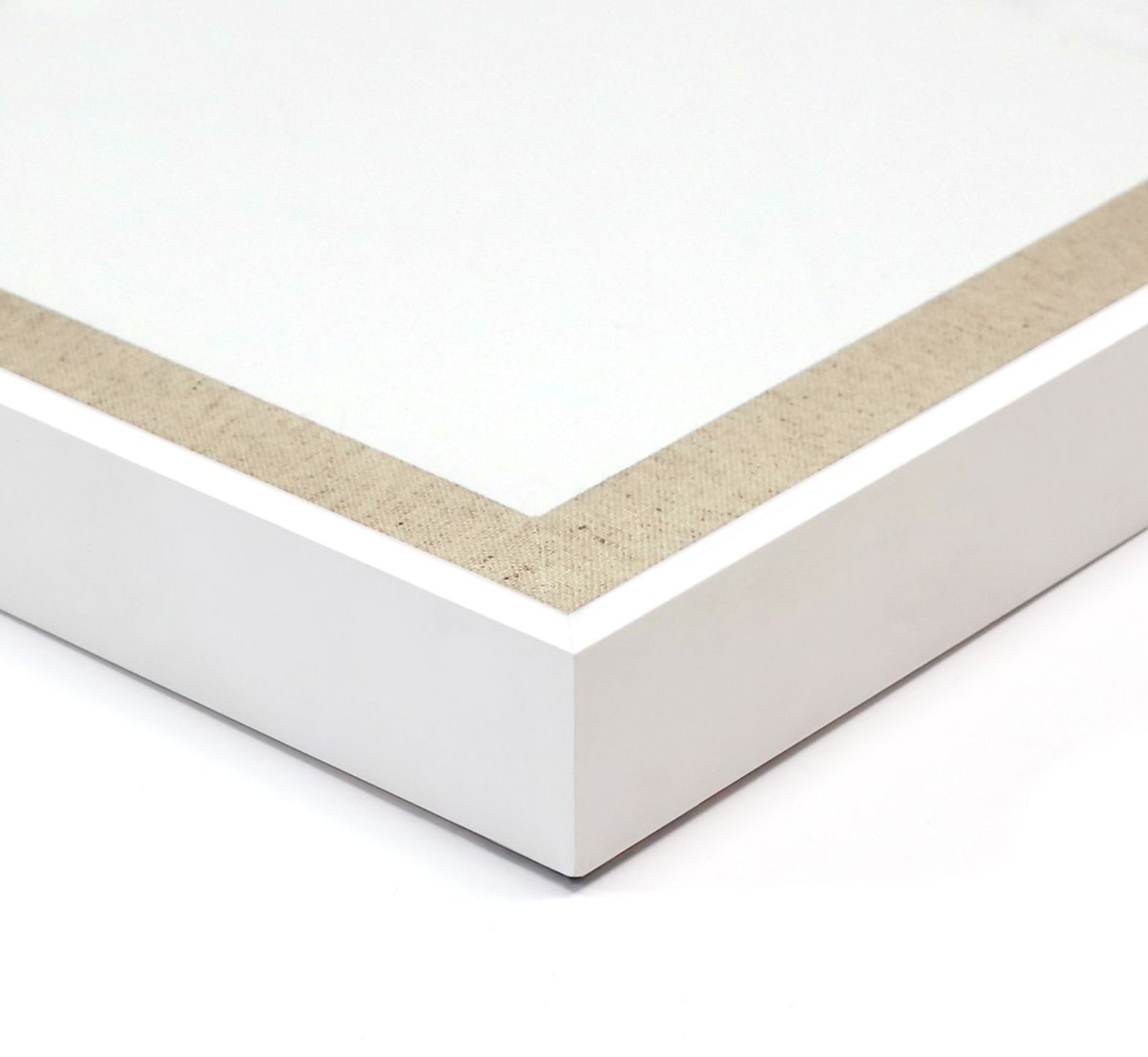 Natural Curiosities Gilded Lace Art in Gold