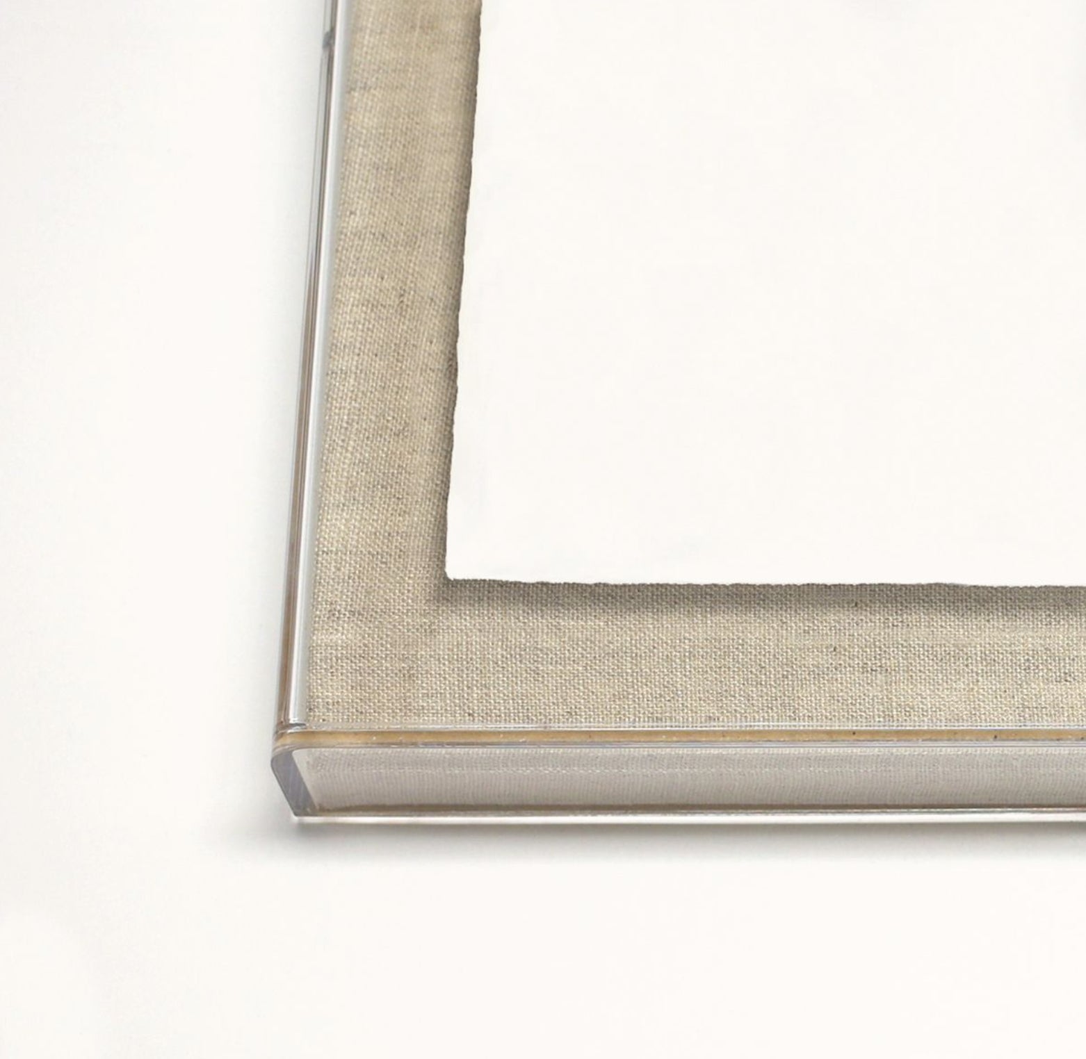 Natural Curiosities Gilded Lace Art in Gold