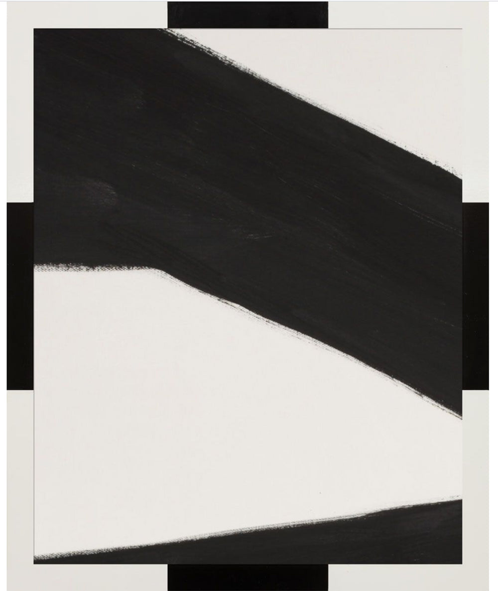 Natural Curiosities Black Lines Abstract Art