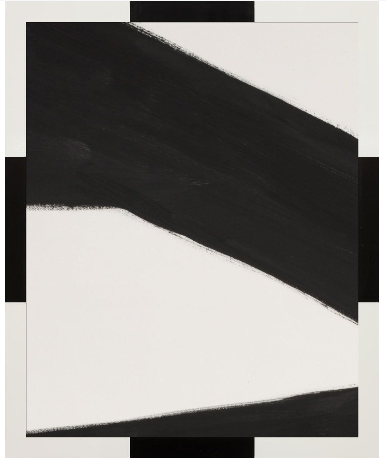 Natural Curiosities Black Lines Abstract Art