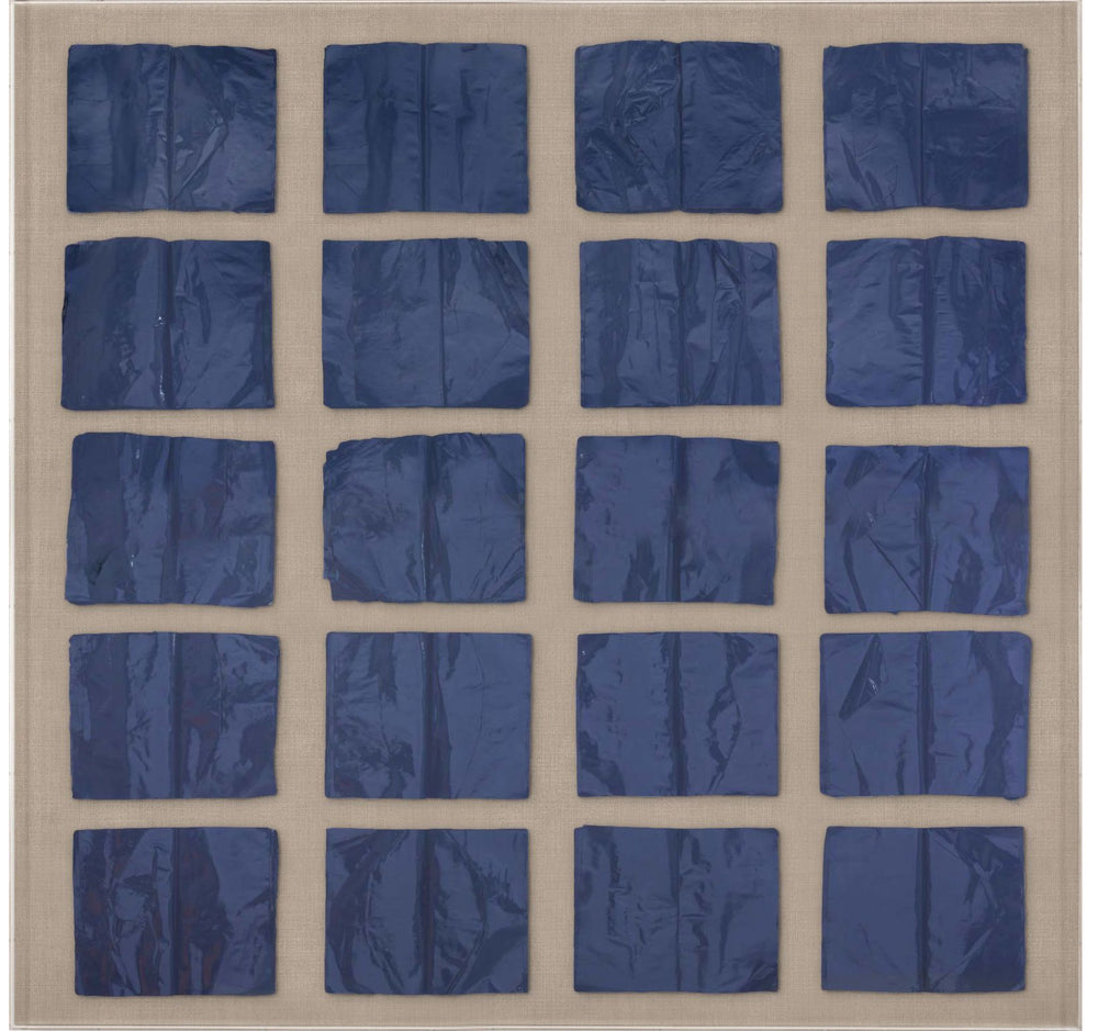 Natural Curiosities Cooking the Books Art in Blue