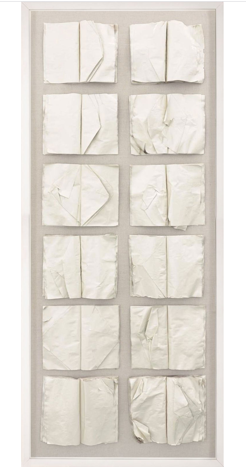 Natural Curiosities Cooking the Books Art in White