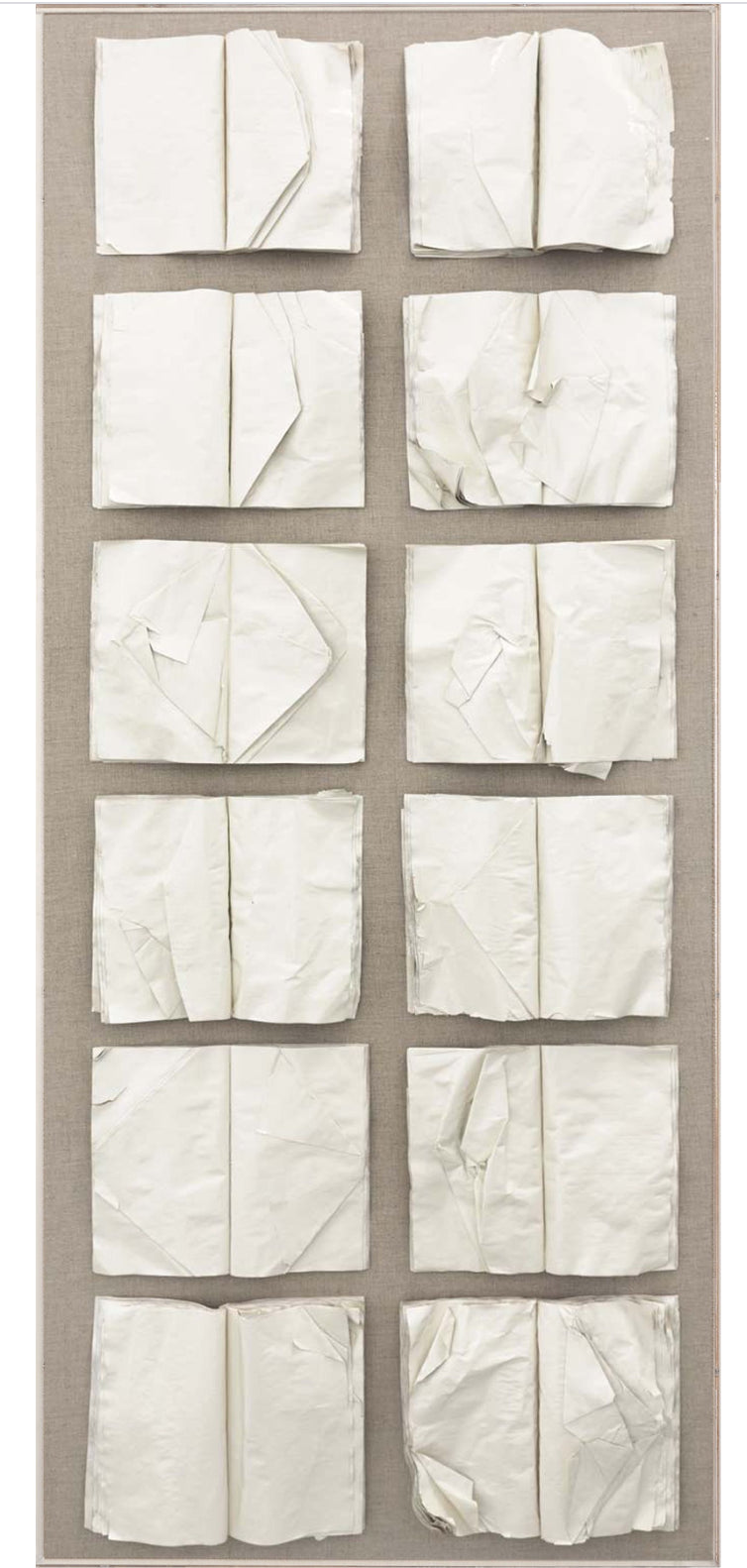 Natural Curiosities Cooking the Books Art in White