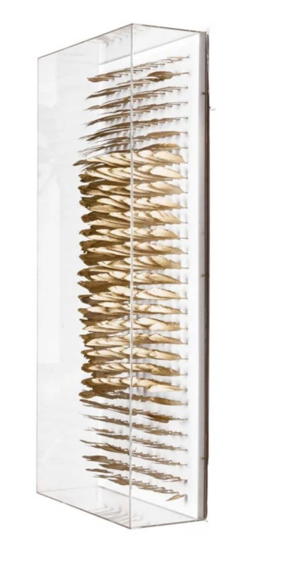 Natural Curiosities Vertical Golden Feathers Framed Artwork