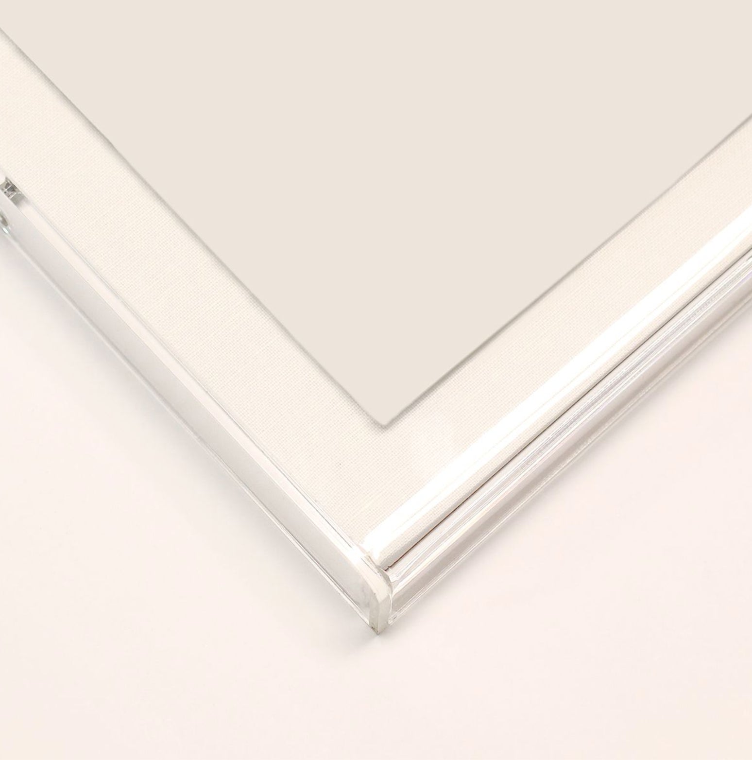 Natural Curiosities Modern Paradise, Modern Flower 3