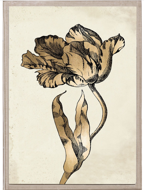 Sieger Tulips 1 Art in Gold Leaf by Natural Curiosities