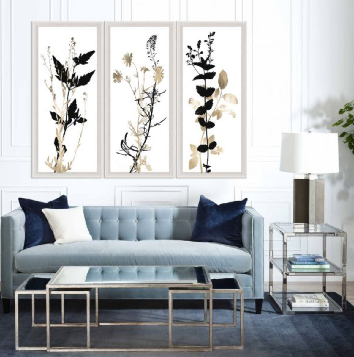 Natural Curiosities Black and White Herbarium Art