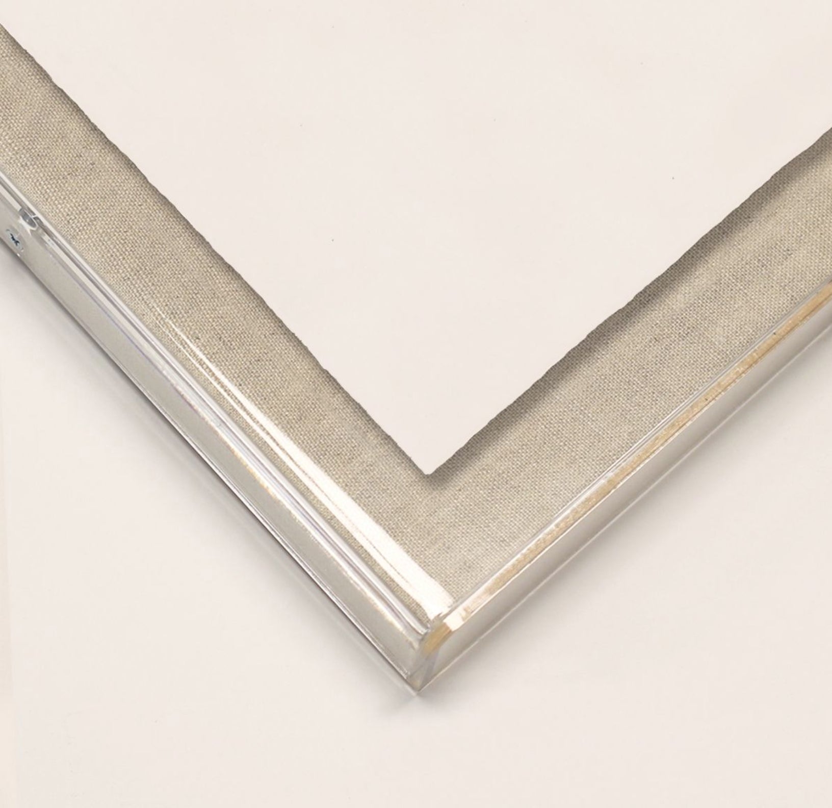 Natural Curiosities Bennet Fish 2, Art