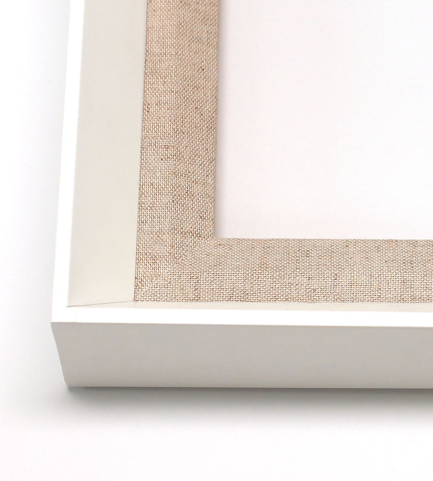 Natural Curiosities Bennet Fish 2, Art