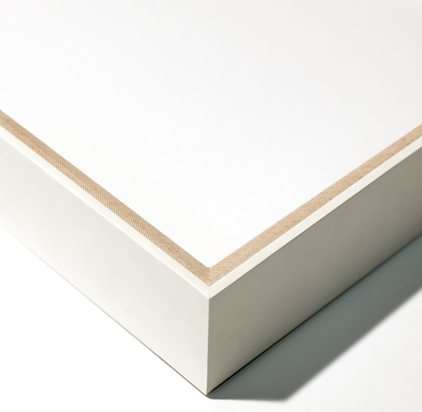 Natural Curiosities Bennet Fish 2, Art