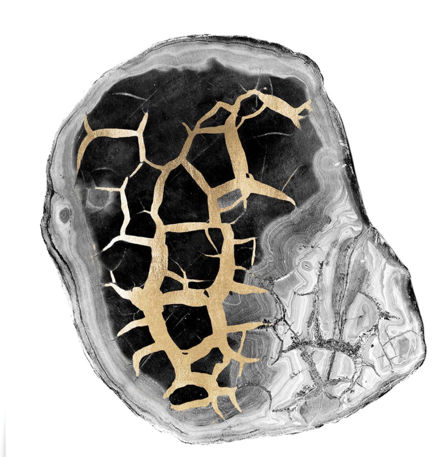 Natural Curiosities Black and White Geode 2 Art