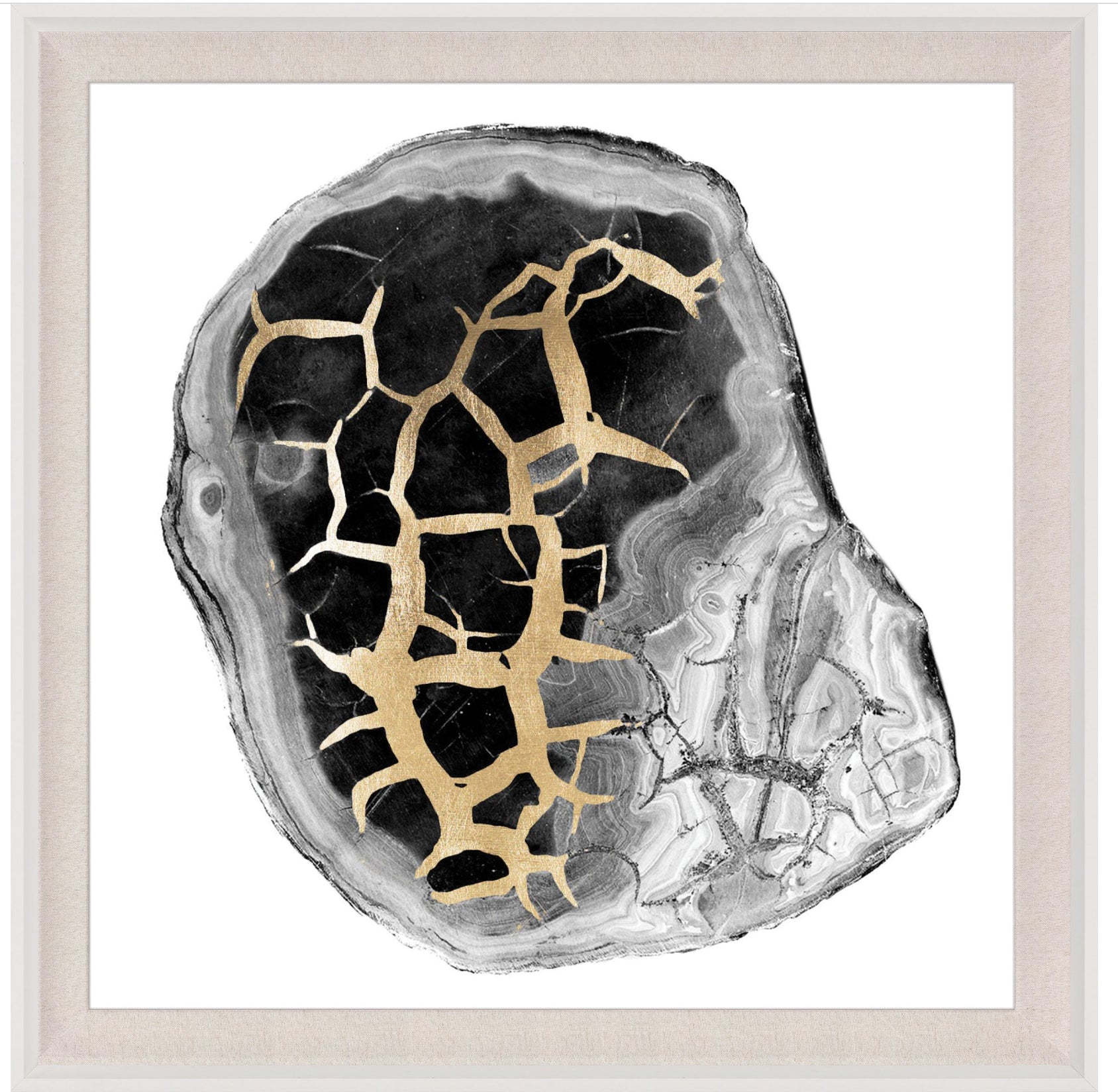 Natural Curiosities Black and White Geode 2 Art