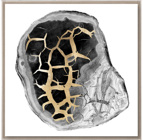 Natural Curiosities Black and White Geode 2 Art