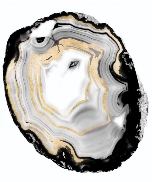 Natural Curiosities Black and White Geode 3 Art