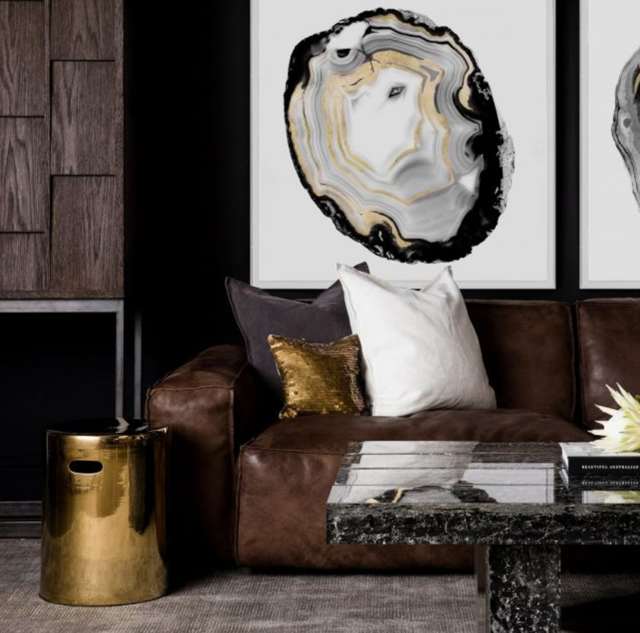 Natural Curiosities Black and White Geode 3 Art