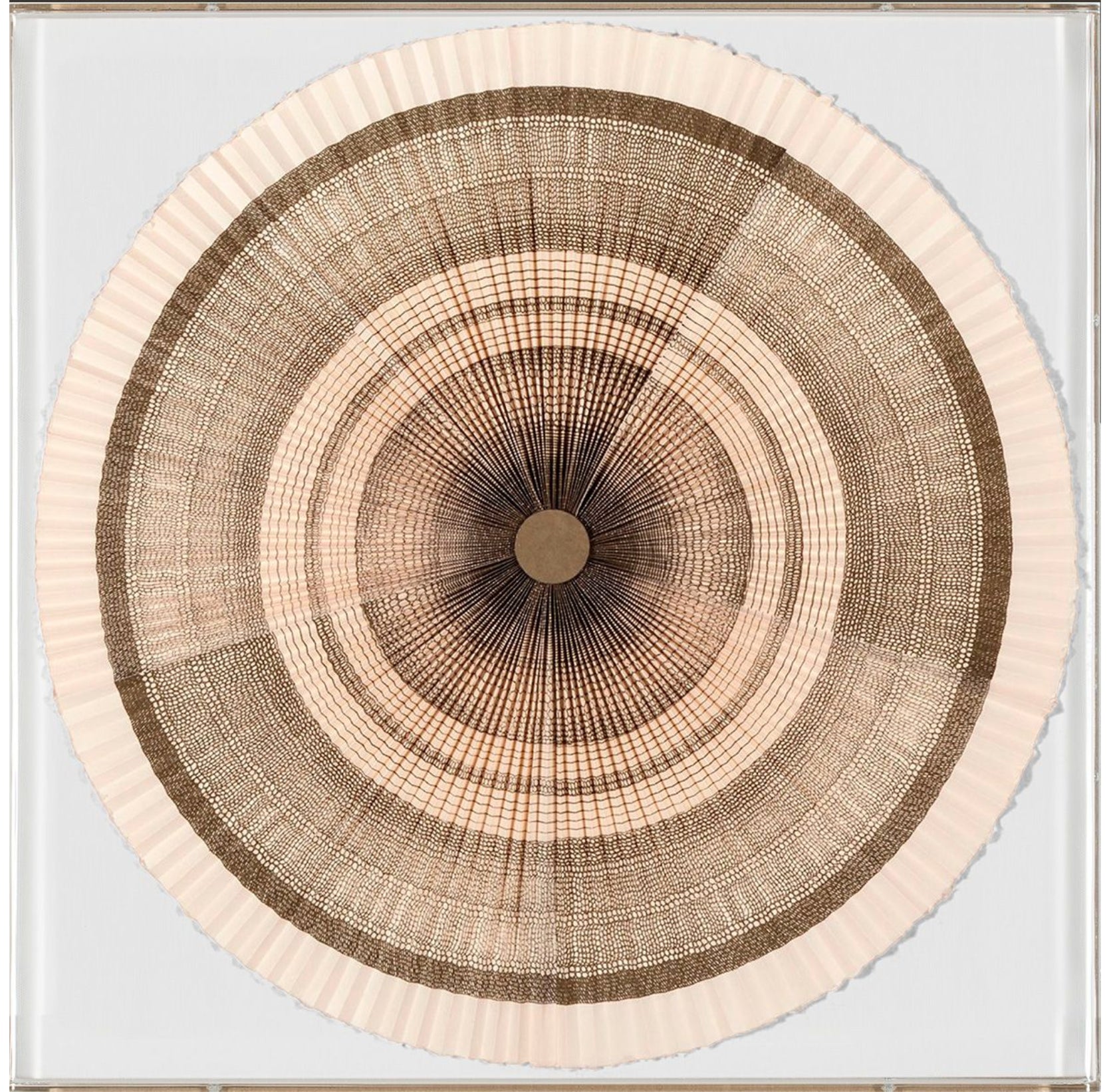 Natural Curiosities Folded Dreams, Eden