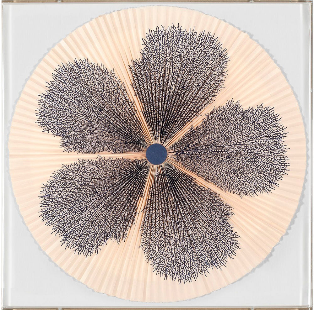 Natural Curiosities Folded Dreams, Recif