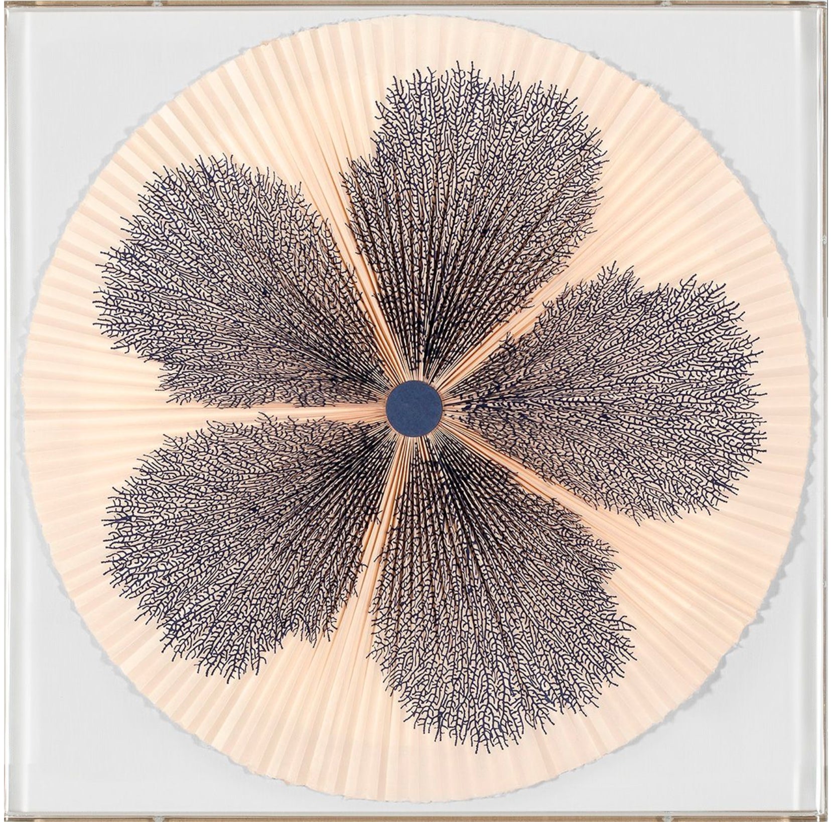 Natural Curiosities Folded Dreams, Recif