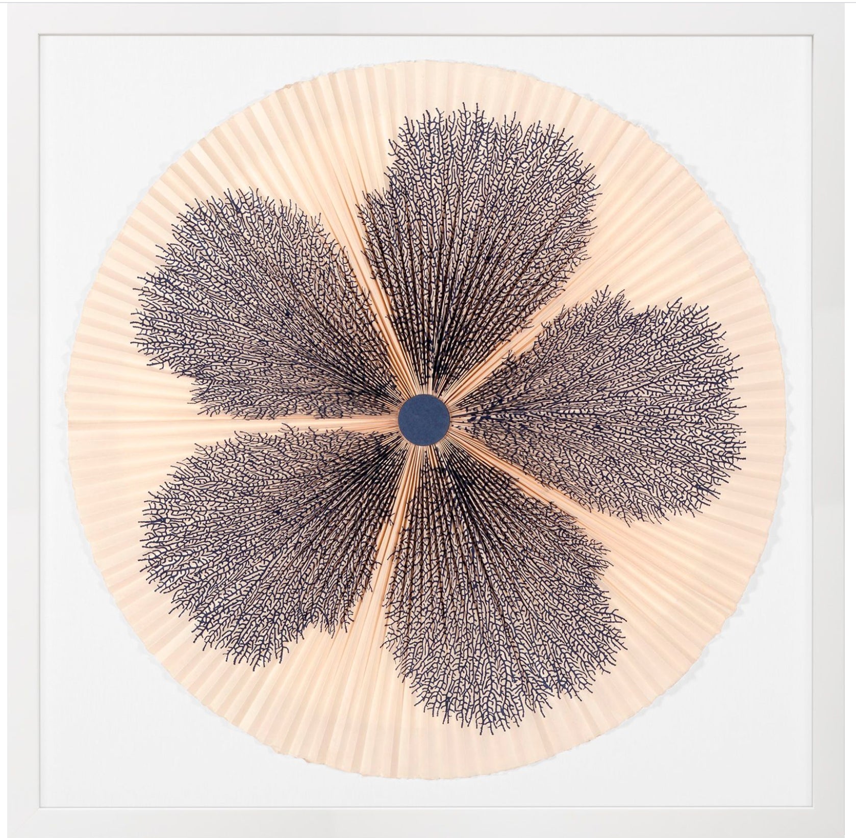 Natural Curiosities Folded Dreams, Recif