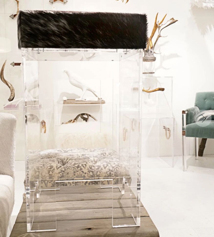 Jamie Dietrich Bella Acrylic Bar Stool