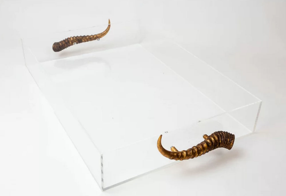 Acrylic Tray With Horns by Jamie Dietrich