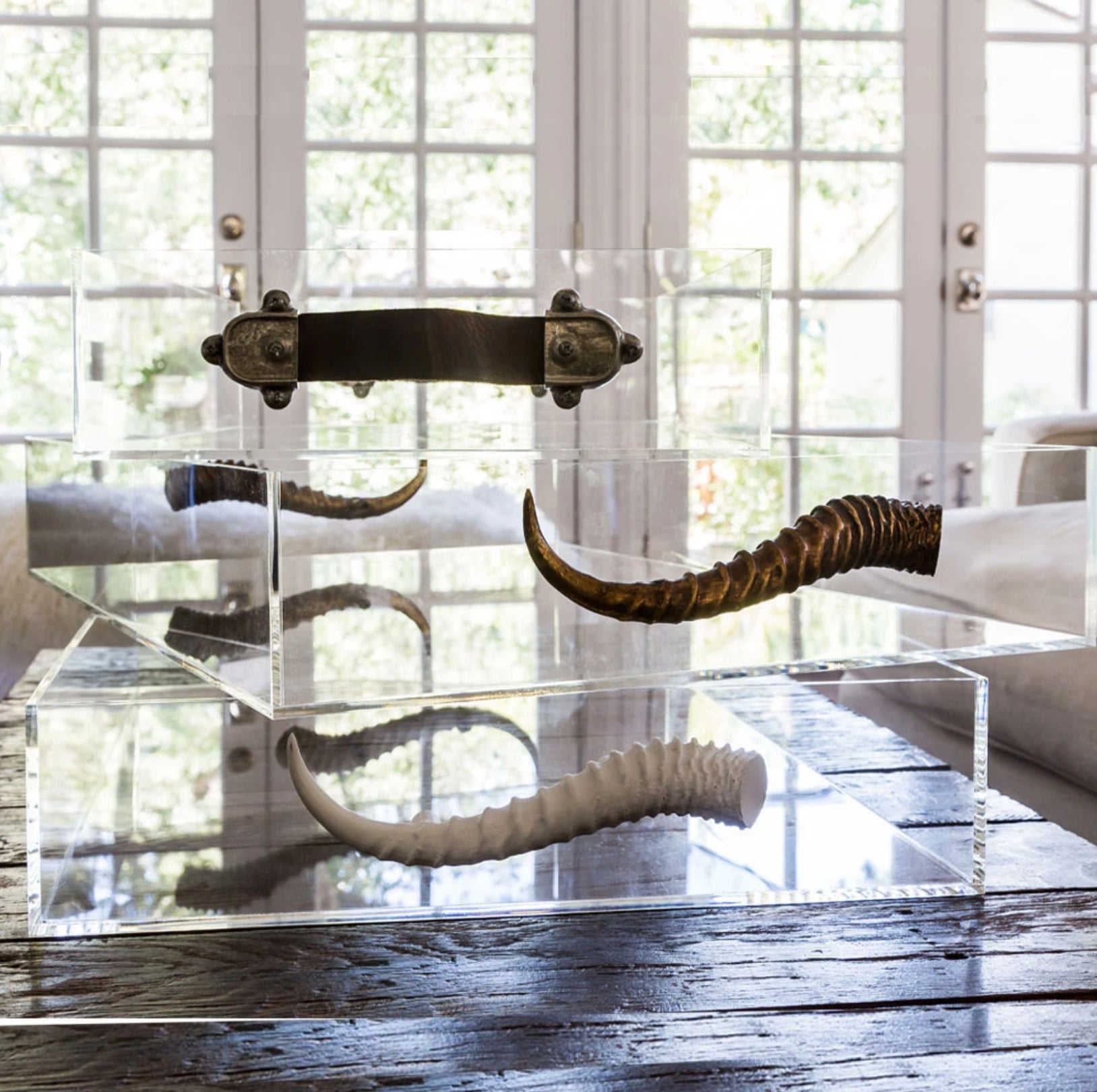 Acrylic Tray With Horns by Jamie Dietrich