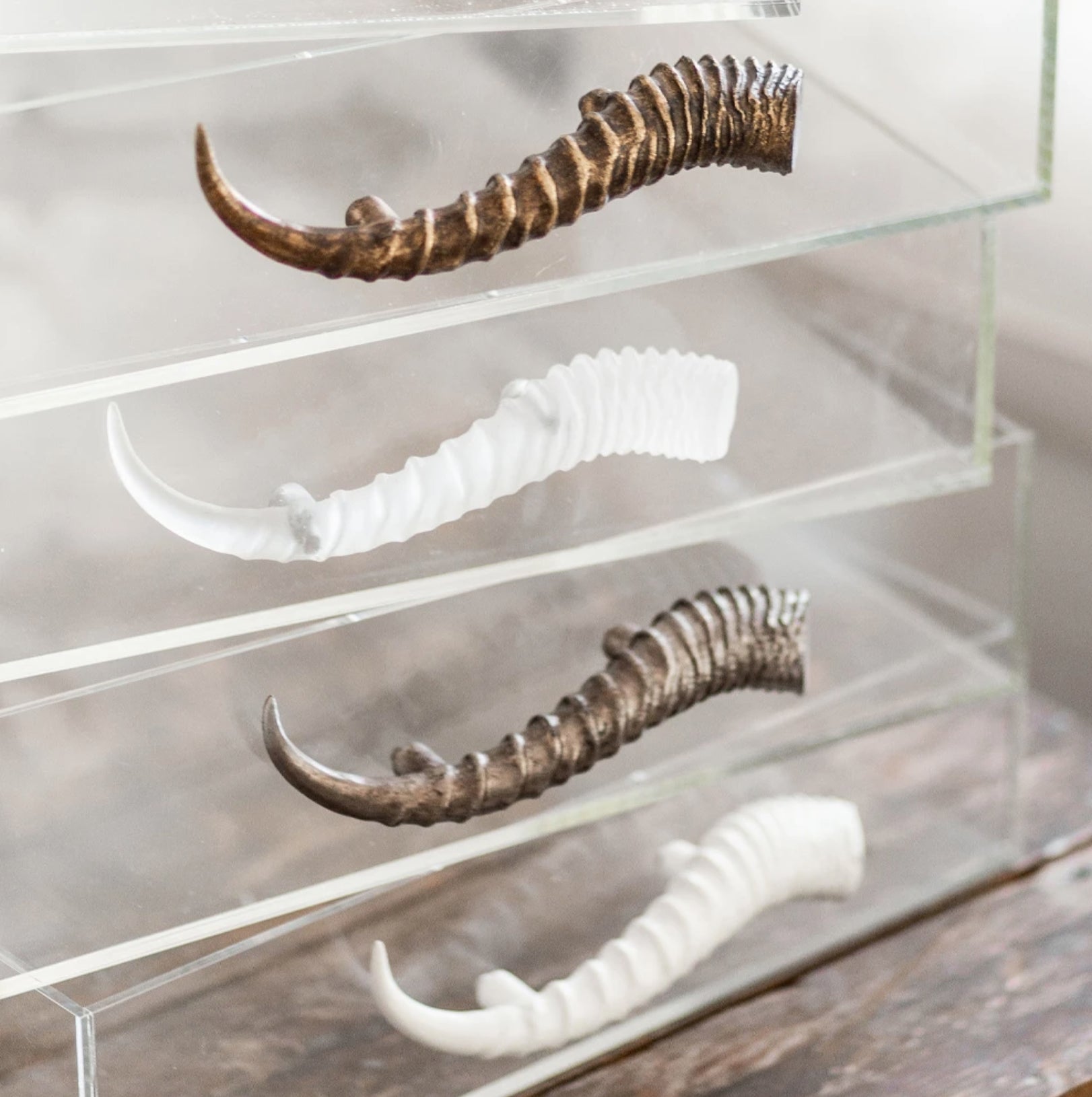 Acrylic Tray With Horns by Jamie Dietrich