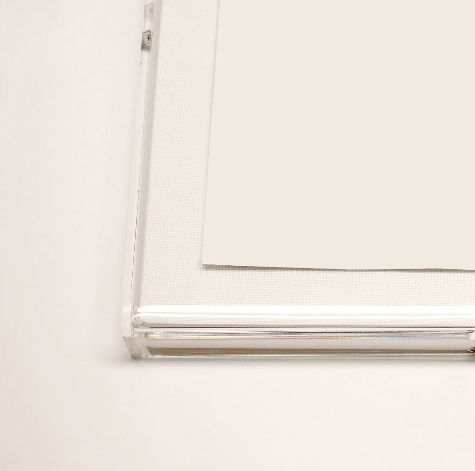 Animal 13 White Feather Artwork by Natural Curiosities