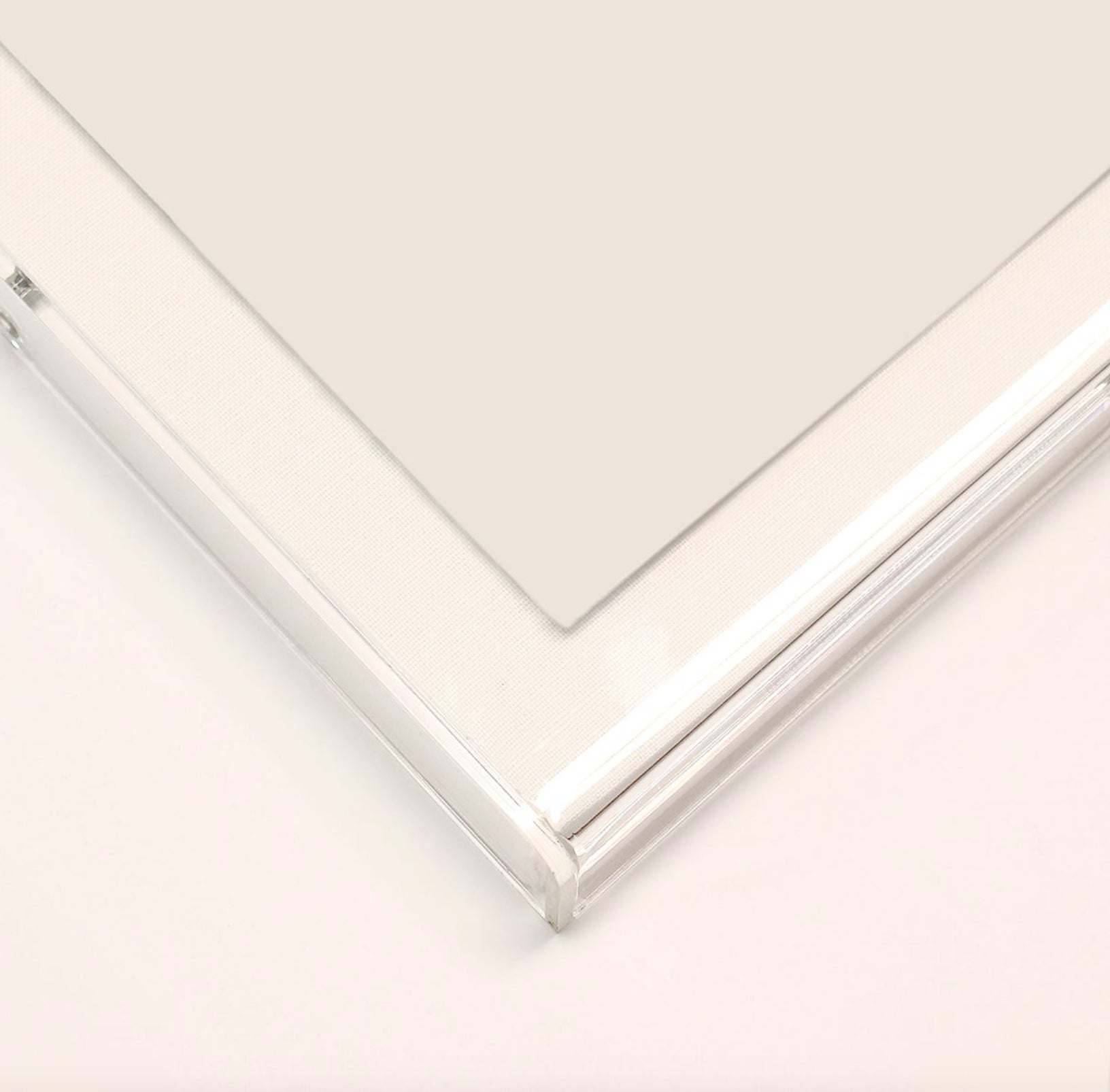 Animal 13 White Feather Artwork by Natural Curiosities